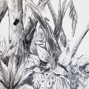 Marcos Ávila Forero. Courtesy of Pori Art Museum