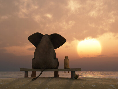 La percezione del tempo