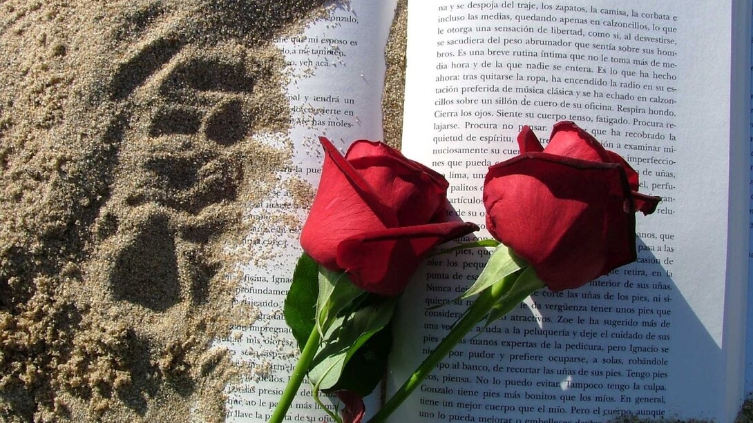 La rosa y el libro, símbolos de Sant Jordi
