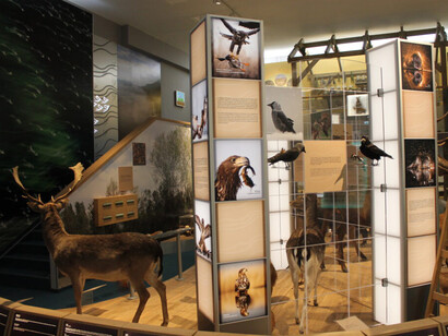 Our river and its land, exhibition view. Courtesy of Móra Ferenc Museum