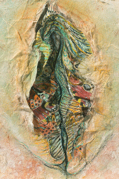 Serie Diversidad de la Naturaleza de Jacqueline Secor