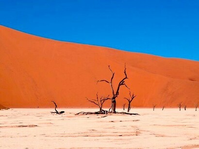 Uno de los mayores problemas al que nos enfrentamos: el cambio climático