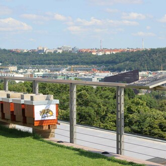 Views of Life, Roof Garden. Courtesy of National Museum of Agriculture