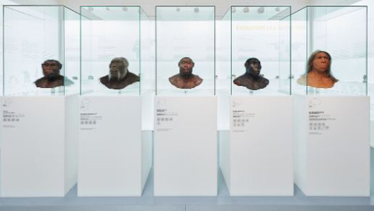 Mammoth & Sabre-Toothed Tiger. Courtesy of Naturhistorisches Museum Basel