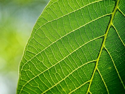 Occorre vivere l’esperienza della complessità con consapevolezza