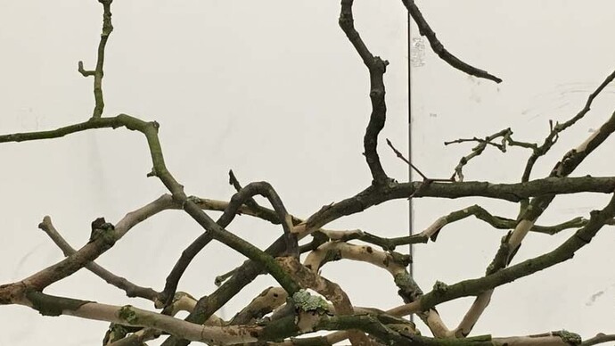 Fragmentation. Courtesy of The Coningsby Gallery