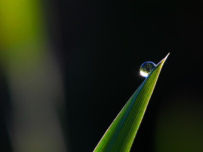 Cycle de l'eau. Les militants écologistes sont nombreux à défendre l’intérêt de revenir à un mode de vie plus respectueux de la nature