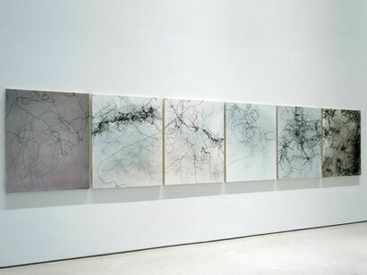 Emil Lukas, Liquid Reflector 1-6, 2013, ink and paint on canvas over wood frame, six parts, 48 x 40 inches (121,9 x 101,6 cm) each. Courtesy Sperone Westwater, New York