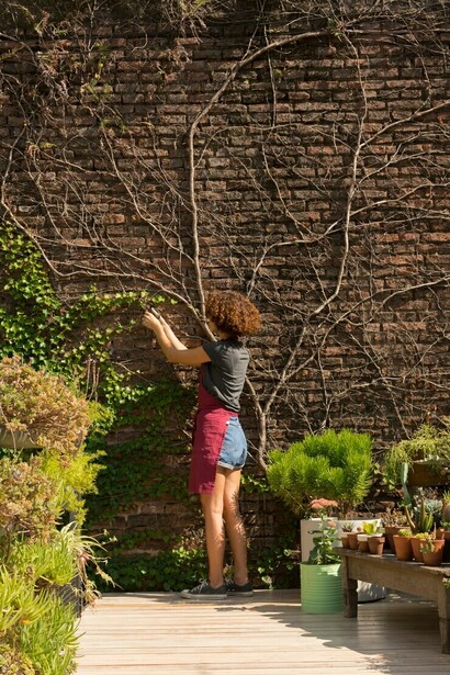 A young woman is dedicatedly nurturing her vertical garden, ensuring each plant receives the attention it needs to thrive
