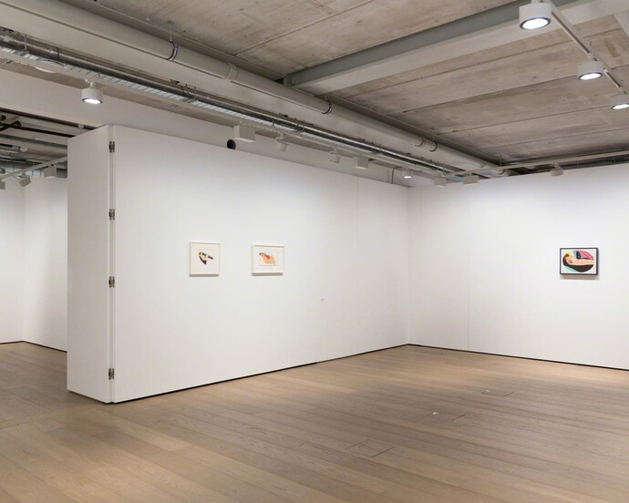 Tom Wesselmann. Courtesy of Almine Rech Gallery