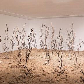 Kader Attia, Intifada: los rizomas interminables de la revolución, 2016. Courtesy of Centro Andaluz de Arte Contemporáneo. Photo by Pablo Ballesteros