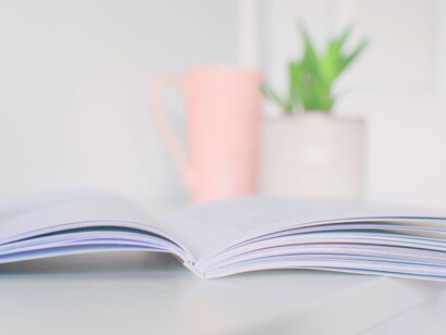 Se escriben dos puntos tras los verbos de lengua que introducen literalmente las palabras dichas