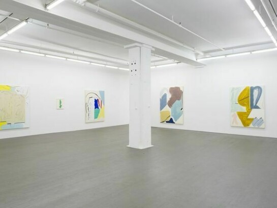 Patricia Treib, Installation Views