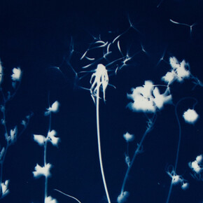 Pipo Nguyen-duy, Untitled L28, 1998. Courtesy of ClampArt