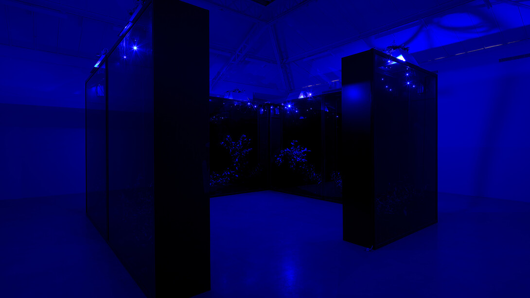 Hicham Berrada, Celeste, 2014, Color video. Grey sky, sky blue smoke, 5 min 55 s, View of the exhibition "Paysages a circadiens", kamel mennour (6 rue du Pont de Lodi), Paris, 2015 © Hicham Berrada © Photo. Fabrice Seixas, Courtesy the artist and kamel mennour, Paris