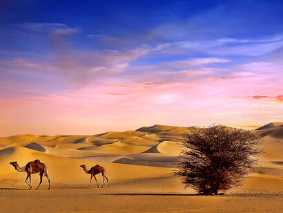 Niger – Zona nord-occidentale del deserto del Ténéré. Ph Sergio Pessolano