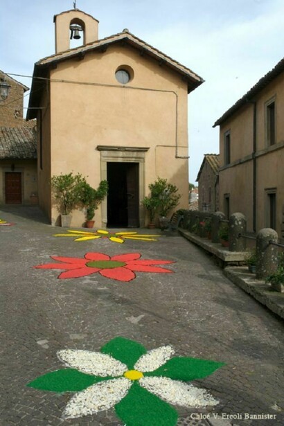 In Sutri flowers grow even in the asphalt