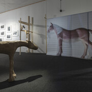 Various artists, Under pressure, exhibition view. Courtesy of Tallinn City Gallery