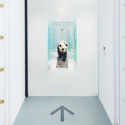 Quagga & Dodo. Courtesy of Naturhistorisches Museum Basel