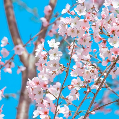 E a che serve poi ricordare? 