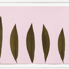 Alek O, Ida, 2017, pressed leaves on paper , 65 (h) x 155 (w) x 5.5 (d) cm each, photo by Andrea Rossetti, courtesy Gallery Frutta, Rome