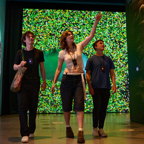 The man who planted trees: an immersive tale, exhibition view. Courtesy of Canadian Museum of Nature