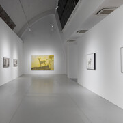 Tang Hui, Forms and scenery, exhibition view. Courtesy of Tokyo Gallery + BTAP