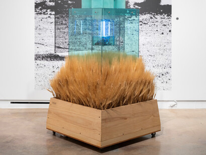 Carl Cheng, Nature never loses, exhibition view. Courtesy of The Contemporary Austin