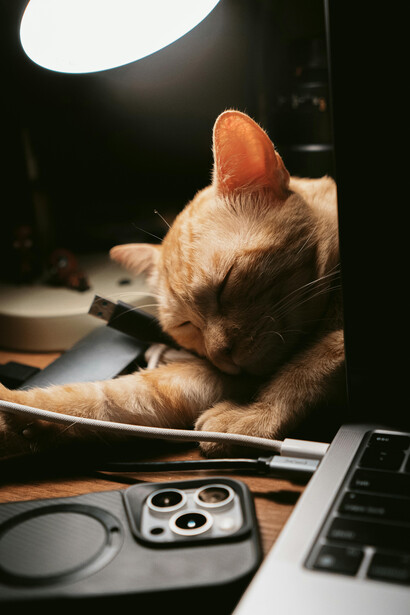 A ginger cat resting comfortably on a desk next to a laptop, bathed in soft, dramatic light that creates a cozy atmosphere