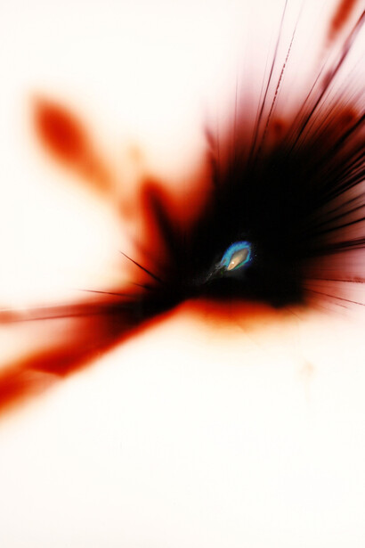 5. Elia Cantori - Untitled (Explosion)