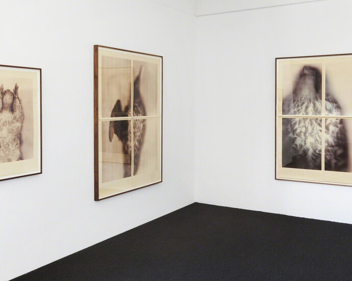 Ann Hamilton, Exhibition view. Courtesy of Gemini G.E.L.