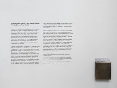 If Everything Is Sculpture
Why Make Sculpture? Courtesy of MoMA