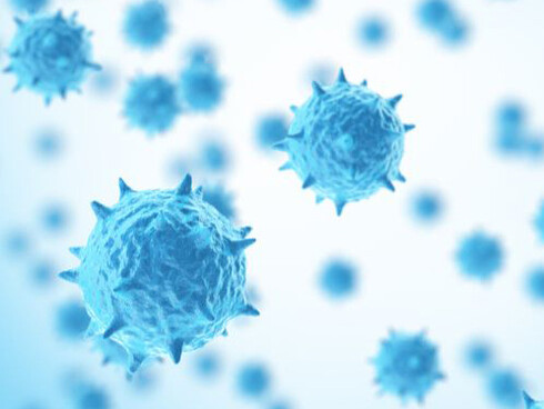 Durante la recente epidemia abbiamo visto tutti quanto sia fragile il nostro sapere