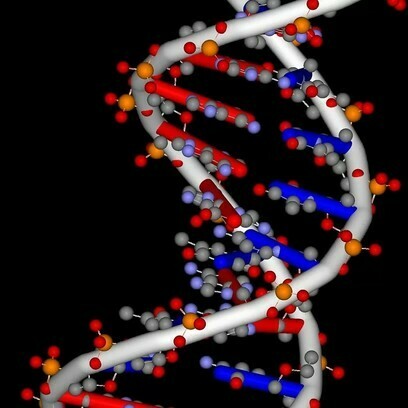 Zusammensetzung und Struktur von DNA und RNA