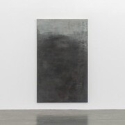 Anita Leisz. Courtesy of 21er Haus