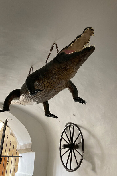 Il “drago” di Brno, Brno, Repubblica Ceca. Foto di Flavius Roversi