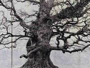 Tacita Dean. Courtesy of Royal Academy of Arts