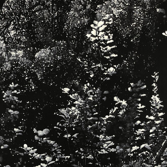 Peter Eastman, Yellow Light, oil on aluminium, 73x98 cm. Courtesy of Barnard Gallery