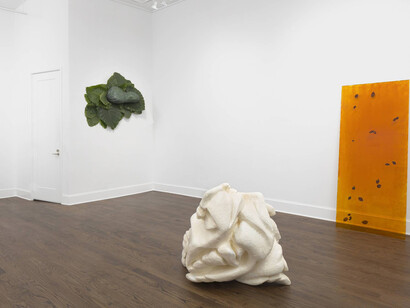 Natura Naturans. Courtesy of Mendes Wood DM
