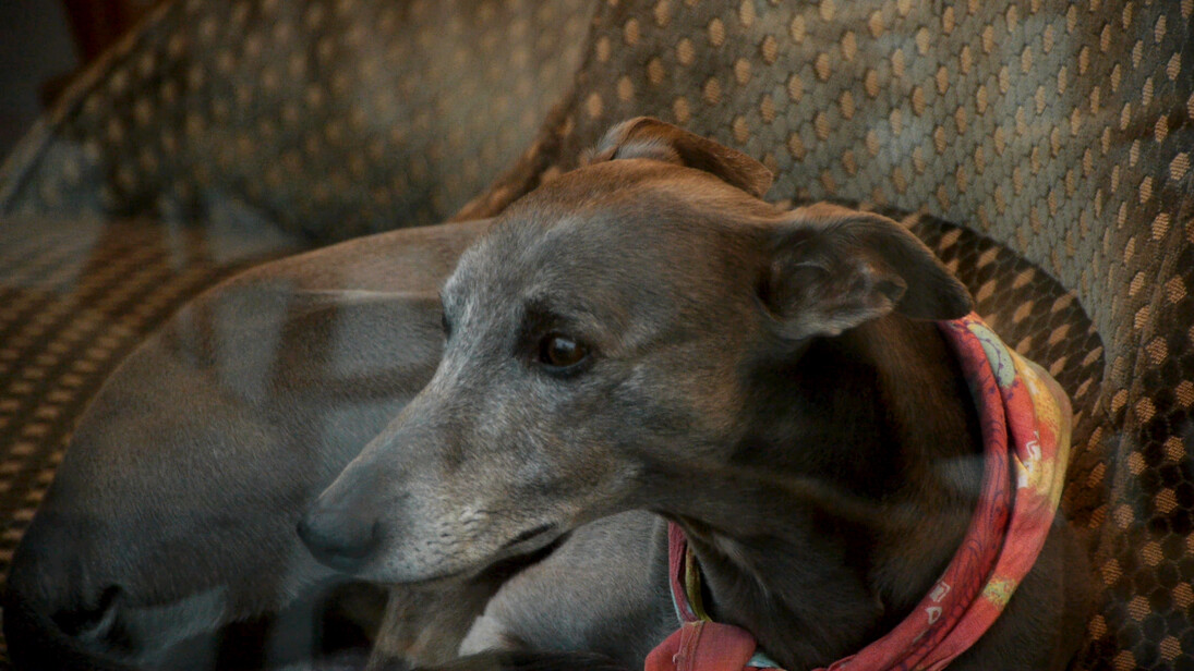 Jem Cohen, Unseen Unsaid (still), 2015 © Jem Cohen. Courtesy the artist and Tintype.