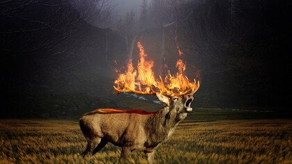 The agony of Mother Earth