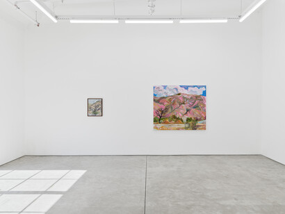 Mira Dancy, Mourning's orbit, exhibition view. Courtesy of Night Gallery