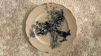 Piatto con due uccellini che si guardano attraverso gli steli di un capelvenere, acquistato da Bourgeois in rue Drouot a Parigi