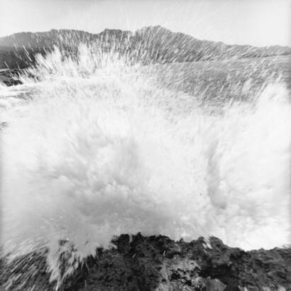 LEE FRIEDLANDER, Point Lobos State Natural Reserve, California, 2012. Courtesy of Fraenkel Gallery