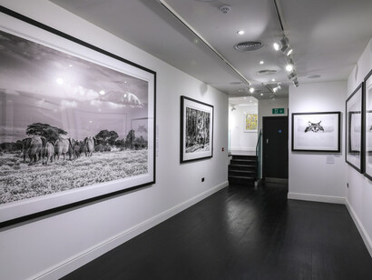 Winter Contemporary. Courtesy of Maddox 