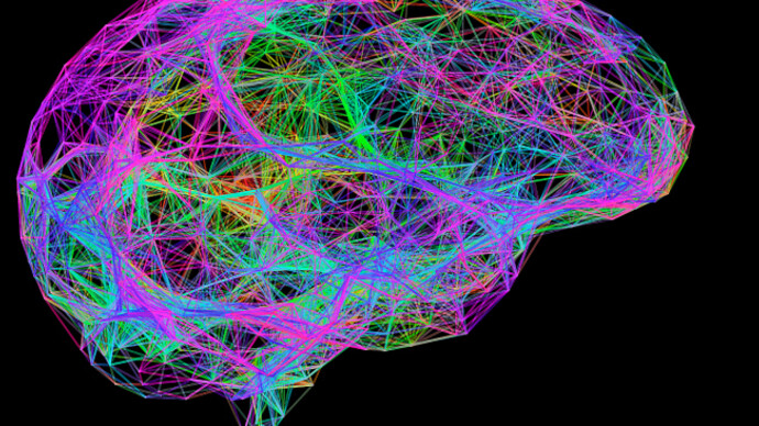 Brain: The Inside Story. Courtesy of Canadian Museum of Nature