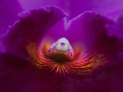 Dušan Swalens, Bio 0202, Inkjet Print on Hahnemühle FineArt Photo Rag Ultra Smooth, 20" x 28"