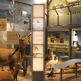 Our river and its land, exhibition view. Courtesy of Móra Ferenc Museum