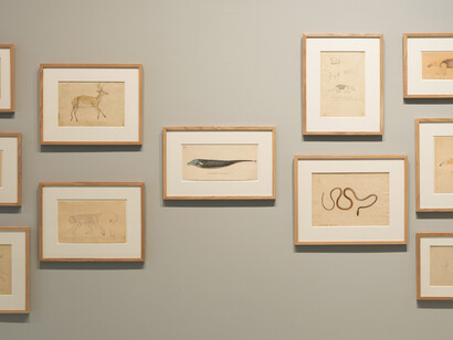 Hercule Florence, Exhibition view. Courtesy of Nouveau Musée National de Monaco