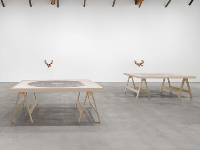 Paul Pfeiffer, Olympia, exhibition view. Courtesy of Galerie Perrotin